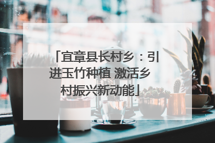 宜章县长村乡：引进玉竹种植 激活乡村振兴新动能
