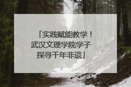 实践赋能教学！武汉文理学院学子探寻千年非遗