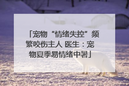 宠物“情绪失控”频繁咬伤主人 医生：宠物夏季易情绪中暑