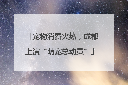 宠物消费火热，成都上演“萌宠总动员”