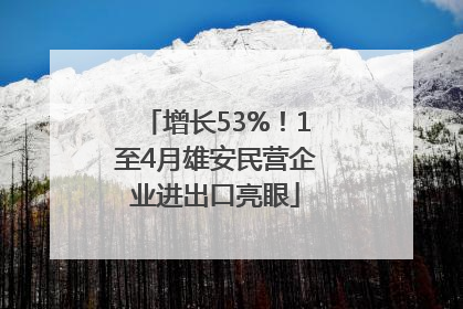 增长53%！1至4月雄安民营企业进出口亮眼