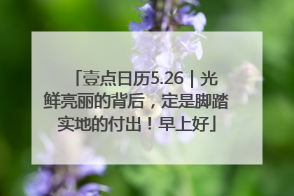 壹点日历5.26｜光鲜亮丽的背后，定是脚踏实地的付出！早上好