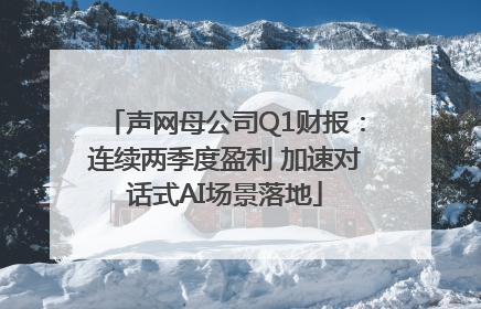 声网母公司Q1财报：连续两季度盈利 加速对话式AI场景落地