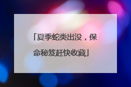 夏季蛇类出没，保命秘笈赶快收藏