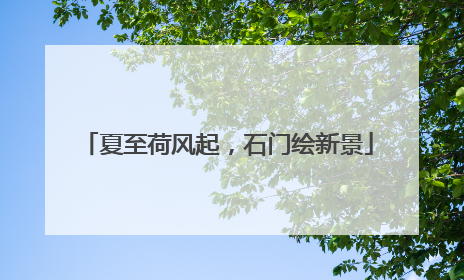 夏至荷风起，石门绘新景