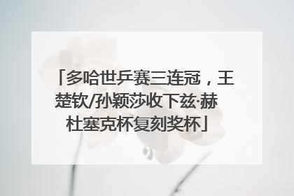 多哈世乒赛三连冠，王楚钦/孙颖莎收下兹·赫杜塞克杯复刻奖杯