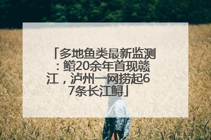 多地鱼类最新监测：鳤20余年首现赣江，泸州一网捞起67条长江鲟