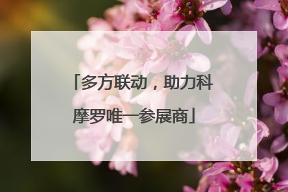 多方联动，助力科摩罗唯一参展商