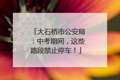 大石桥市公安局：中考期间，这些路段禁止停车！