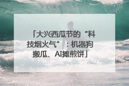 大兴西瓜节的“科技烟火气”：机器狗搬瓜、AI摊煎饼