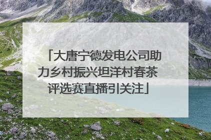 大唐宁德发电公司助力乡村振兴坦洋村春茶评选赛直播引关注