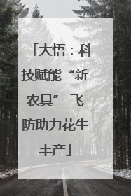 大悟：科技赋能“新农具” 飞防助力花生丰产