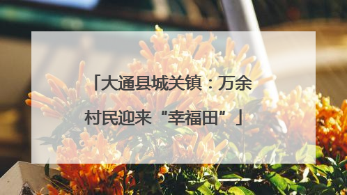 大通县城关镇：万余村民迎来“幸福田”