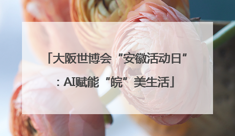 大阪世博会“安徽活动日”：AI赋能“皖”美生活
