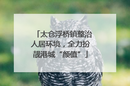 太仓浮桥镇整治人居环境，全力扮靓港城“颜值”