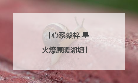 心系桑梓 星火燎原暖湖塘
