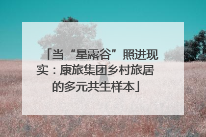 当“星露谷”照进现实：康旅集团乡村旅居的多元共生样本