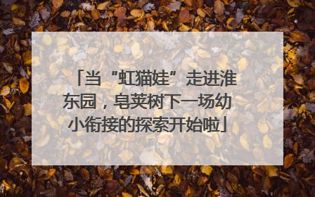 当“虹猫娃”走进淮东园，皂荚树下一场幼小衔接的探索开始啦
