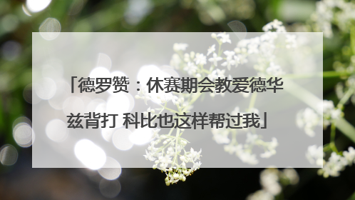 德罗赞：休赛期会教爱德华兹背打 科比也这样帮过我