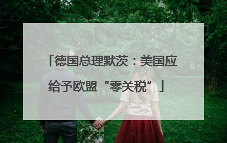 德国总理默茨：美国应给予欧盟“零关税”