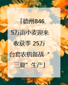 德州846.5万亩小麦迎来收获季 25万台套农机备战“三夏”生产