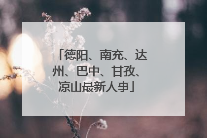 德阳、南充、达州、巴中、甘孜、凉山最新人事