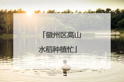 徽州区高山水稻种植忙