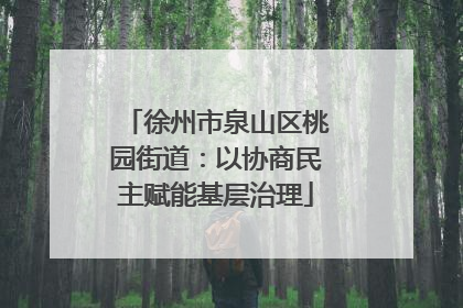 徐州市泉山区桃园街道：以协商民主赋能基层治理