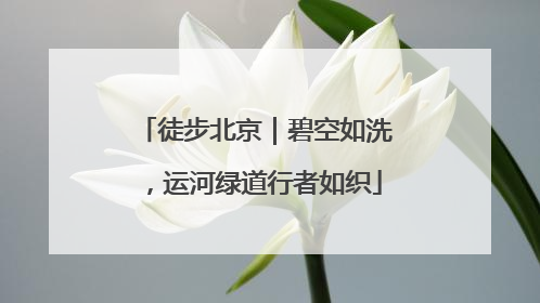 徒步北京｜碧空如洗，运河绿道行者如织