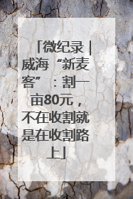 微纪录｜威海“新麦客”：割一亩80元，不在收割就是在收割路上