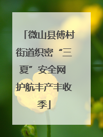 微山县傅村街道织密“三夏”安全网 护航丰产丰收季