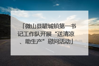 微山县驩城镇第一书记工作队开展“送清凉、助生产”慰问活动