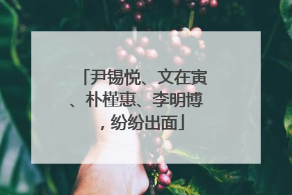 尹锡悦、文在寅、朴槿惠、李明博，纷纷出面