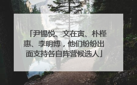 尹锡悦、文在寅、朴槿惠、李明博，他们纷纷出面支持各自阵营候选人