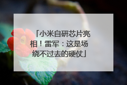 小米自研芯片亮相！雷军：这是场绕不过去的硬仗