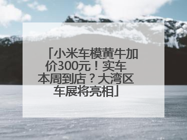 小米车模黄牛加价300元！实车本周到店？大湾区车展将亮相