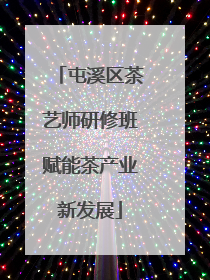 屯溪区茶艺师研修班赋能茶产业新发展