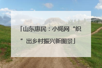 山东惠民：小绳网“织”出乡村振兴新图景