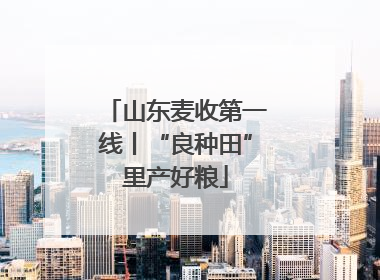 山东麦收第一线丨“良种田”里产好粮