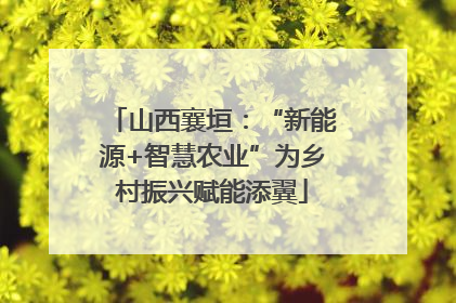 山西襄垣：“新能源+智慧农业”为乡村振兴赋能添翼