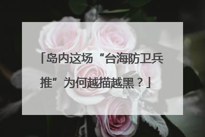 岛内这场“台海防卫兵推”为何越描越黑？
