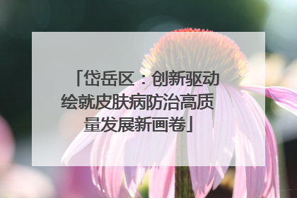岱岳区：创新驱动绘就皮肤病防治高质量发展新画卷