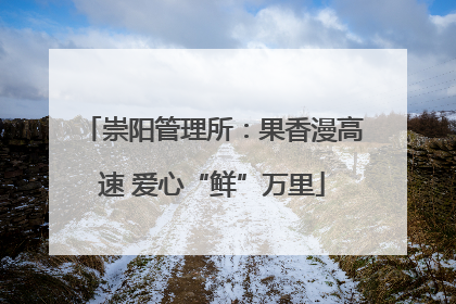 崇阳管理所：果香漫高速 爱心“鲜”万里