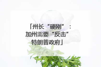 州长“硬刚”：加州需要“反击”特朗普政府