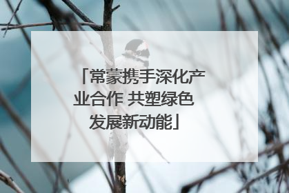 常蒙携手深化产业合作 共塑绿色发展新动能
