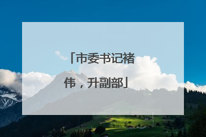 市委书记褚伟，升副部