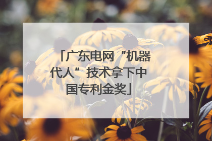广东电网“机器代人”技术拿下中国专利金奖