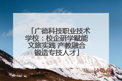 广德科技职业技术学校：校企研学赋能文旅实践 产教融合锻造专技人才
