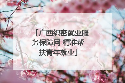 广西织密就业服务保障网 精准帮扶青年就业