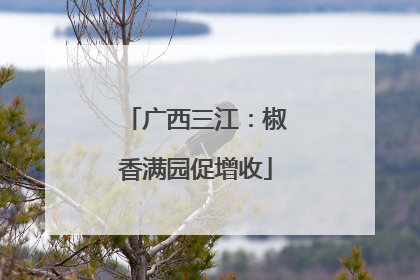 广西三江：椒香满园促增收